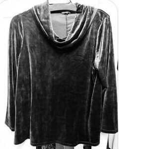Velvet Cowl Neck Top Lane Bryant velour